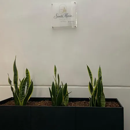 Santamaria Relais Napoli